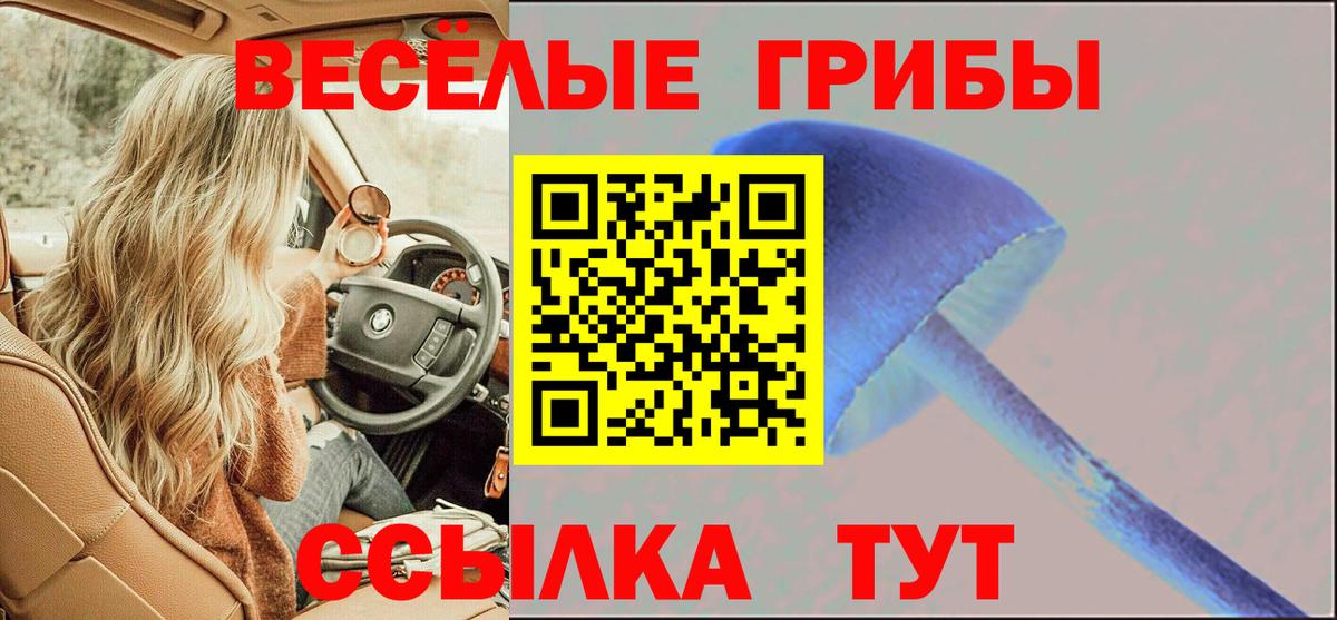 Галлюциногенные грибы Psilocybe  Псилоцибиновые грибы мухоморы  Вход с VPN  Кумертау 
