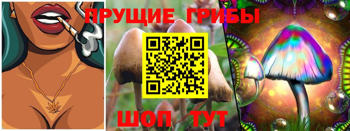 Галлюциногенные грибы прущие грибы Кумертау